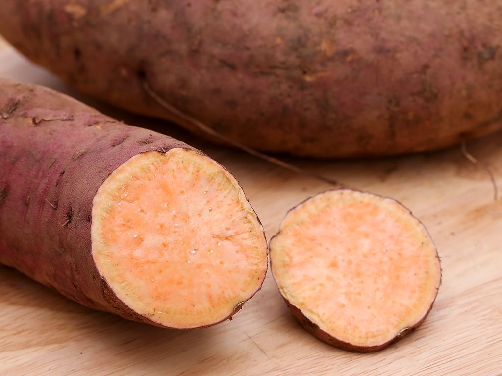 Khoai lang mật túi 1kg (2-4 củ) 1