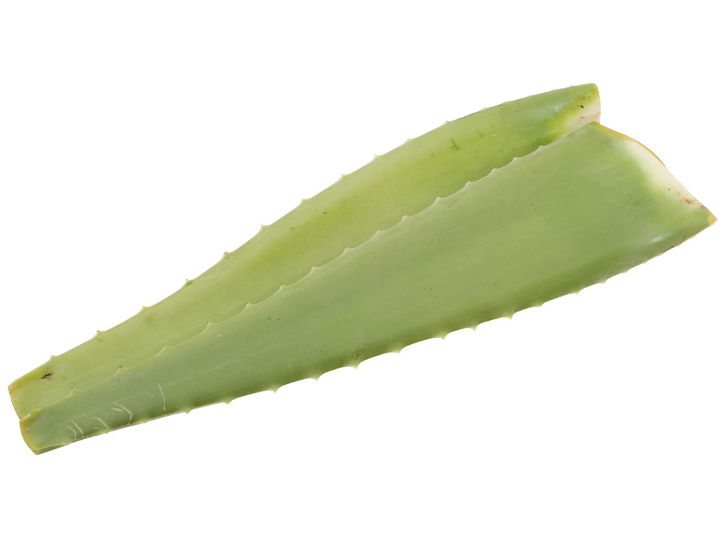 Nha đam túi 500g (1-2 tổ) 6