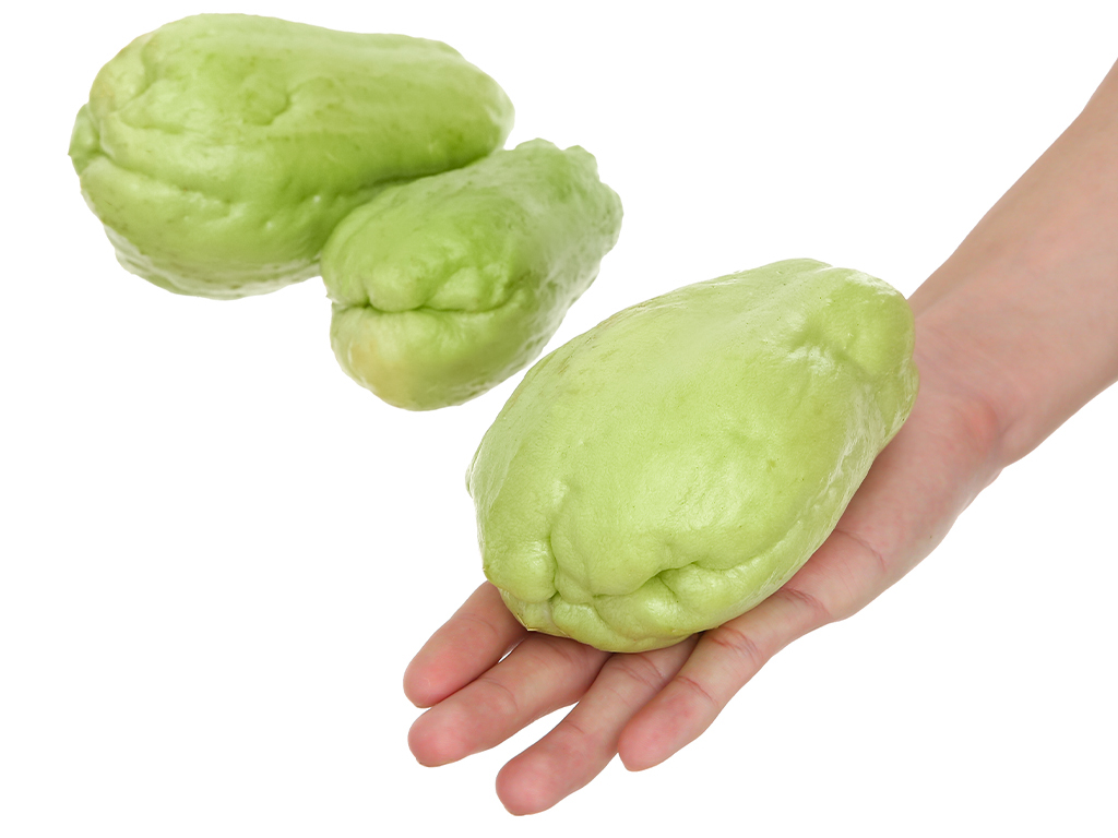 Su su Đà Lạt 1kg (3 - 6 trái) 5