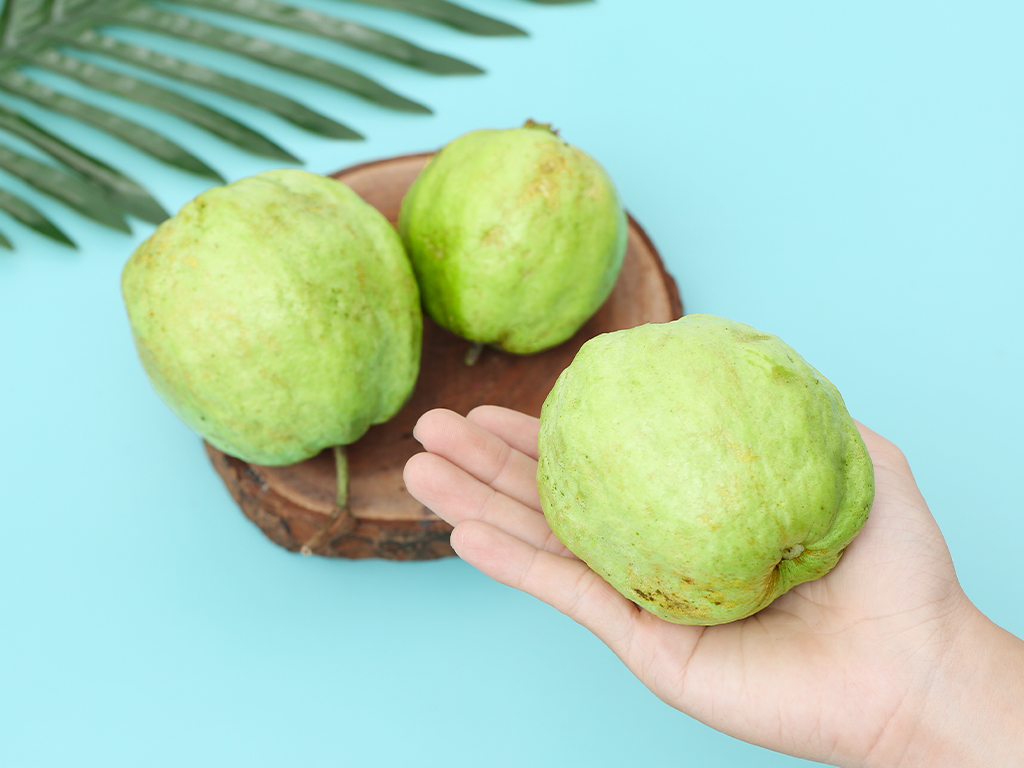 Ổi nữ hoàng túi 1kg (3-5 trái) 1