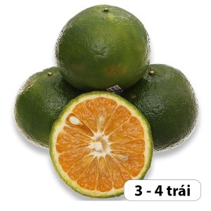 Cam sành 1kg (3 - 4 trái)