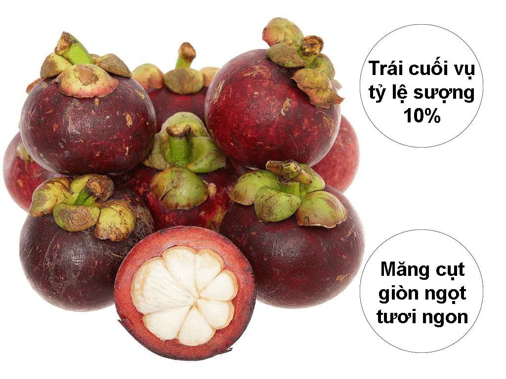 Măng Cụt Tươi Túi 0.9Kg - 1.1Kg Giá Tốt Tại Bách Hoá Xanh