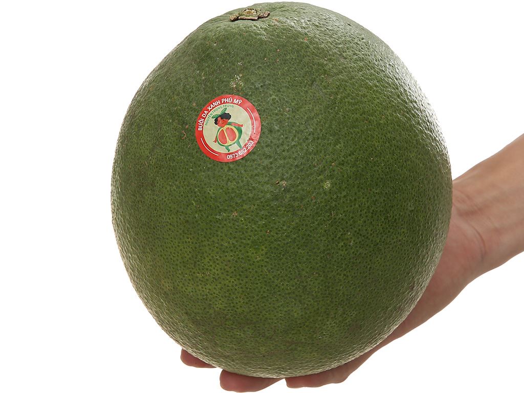 Bưởi da xanh trái từ 1.7kg trở lên 8