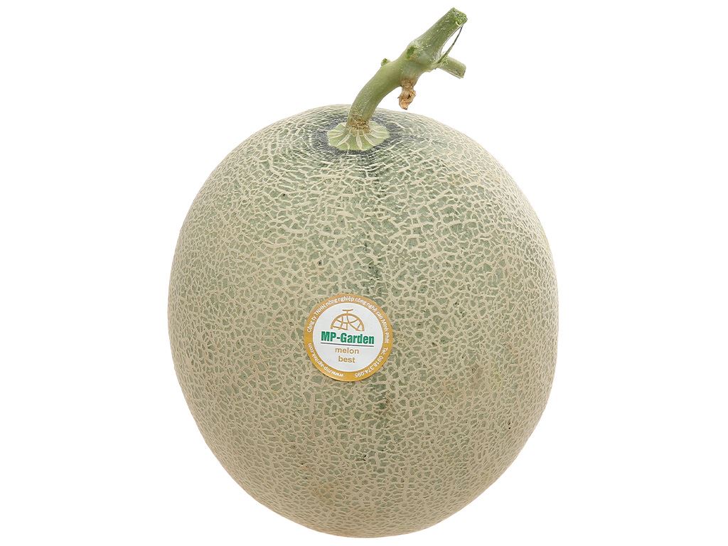 Dưa lưới tròn ruột cam trái từ 1.2kg trở lên 11
