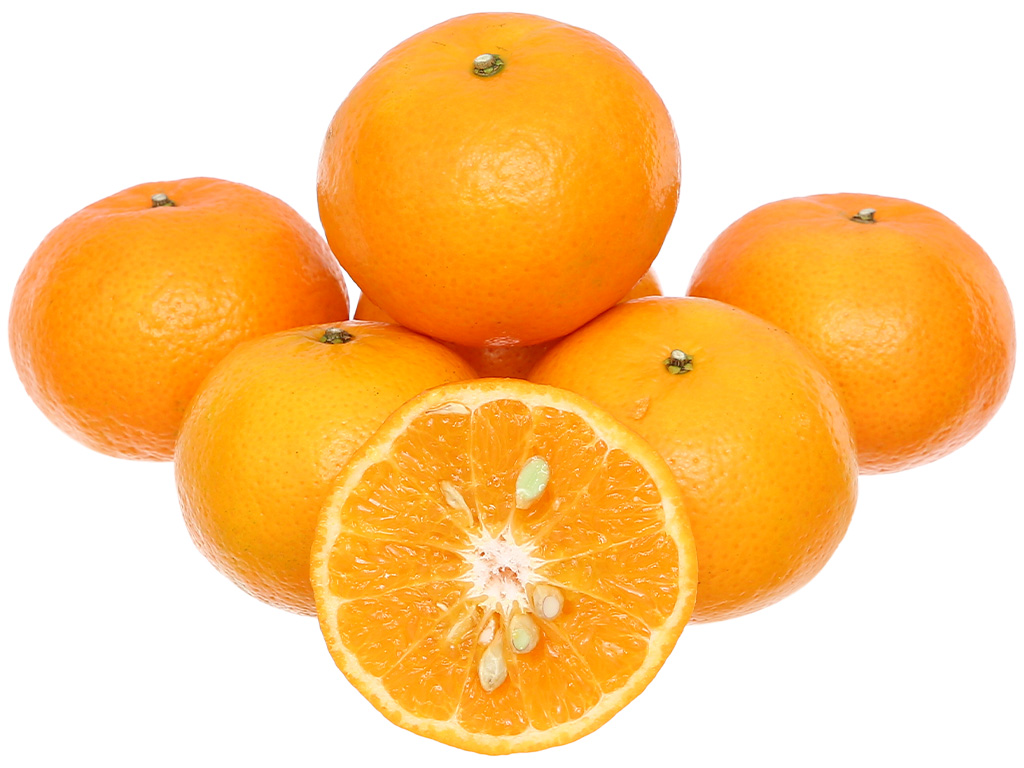 Quýt giống Úc 0.9-1.1kg (5 - 9 trái) 3