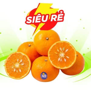Quýt giống Úc 1kg (5 - 9 trái)