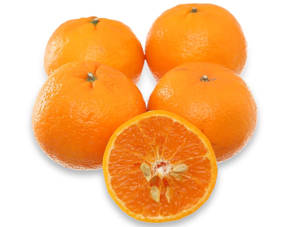Quýt giống Úc 1kg (5 - 9 trái) 8