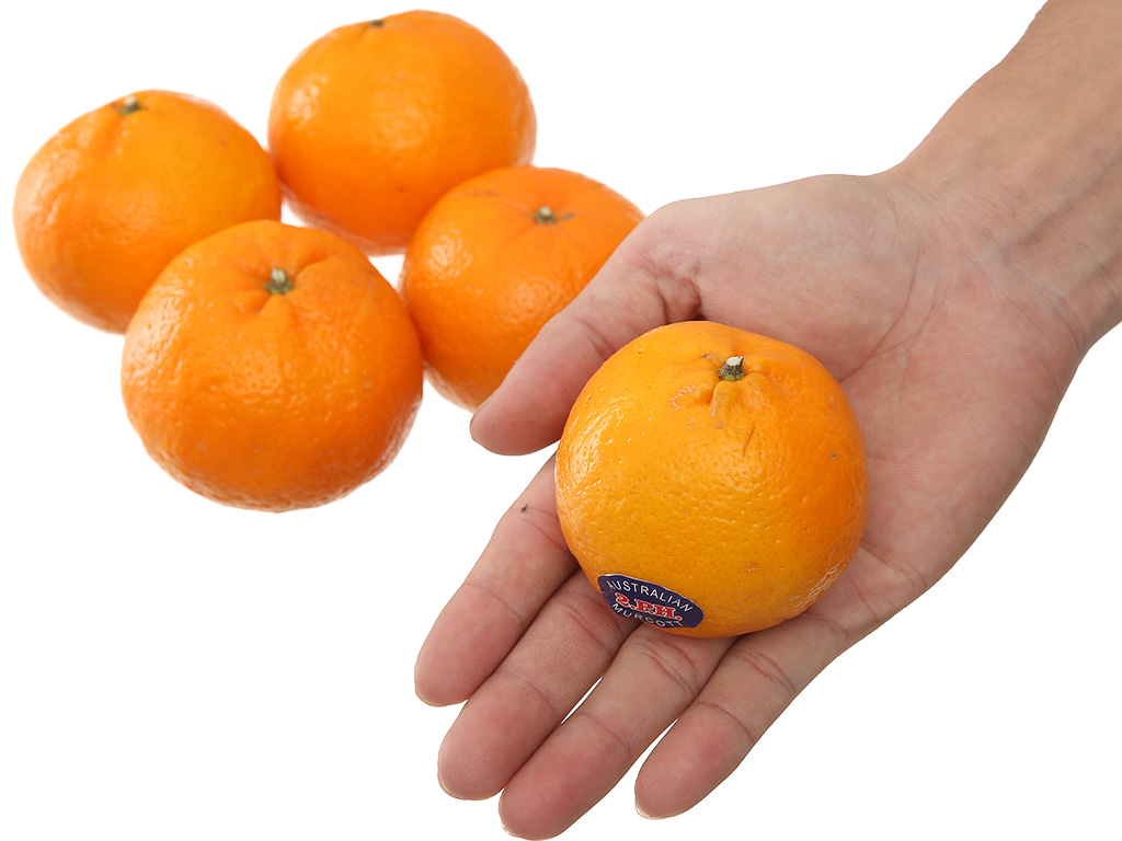 Quýt giống Úc 1kg (5 - 9 trái) 9