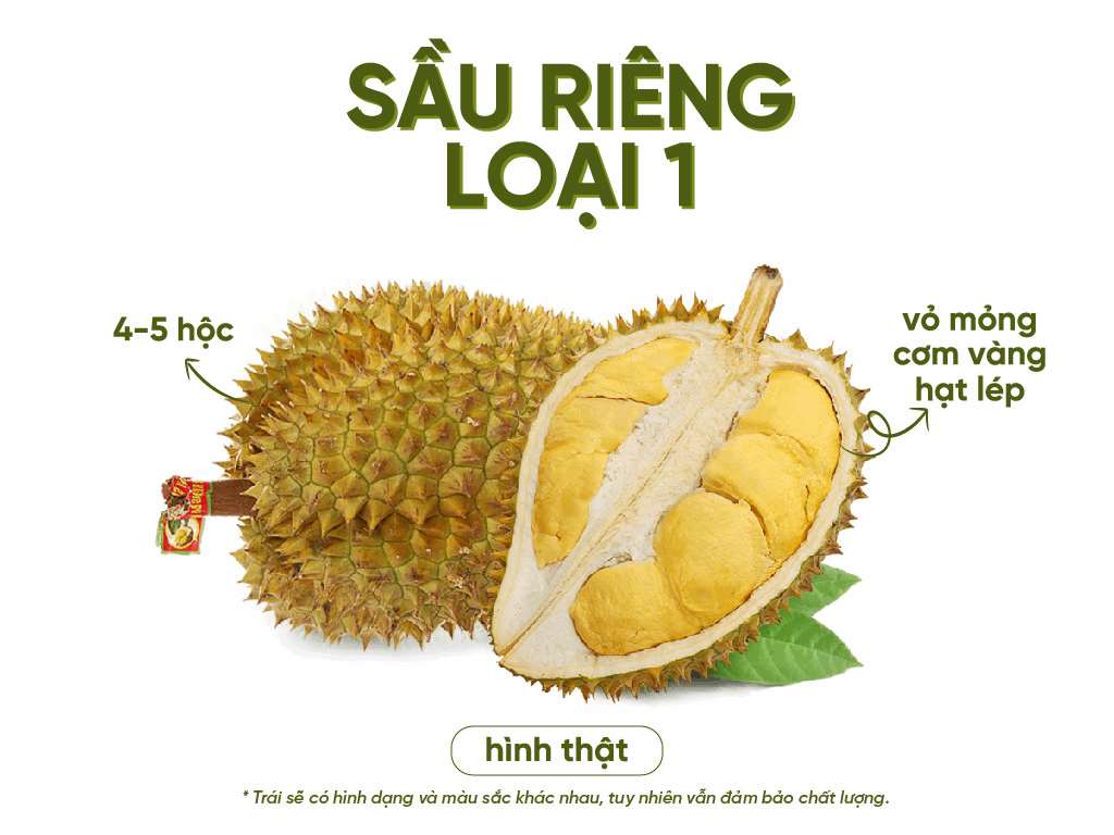 Sầu Riêng Ri 6 loại 1 trọng lượng 2.2kg - 2.5kg 1