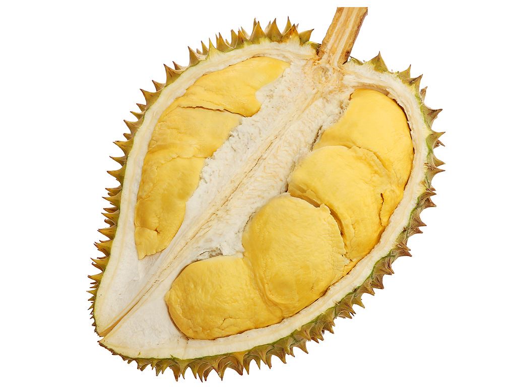 Sầu Riêng Ri 6 loại 1 trái 2.2kg - 2.5kg 12