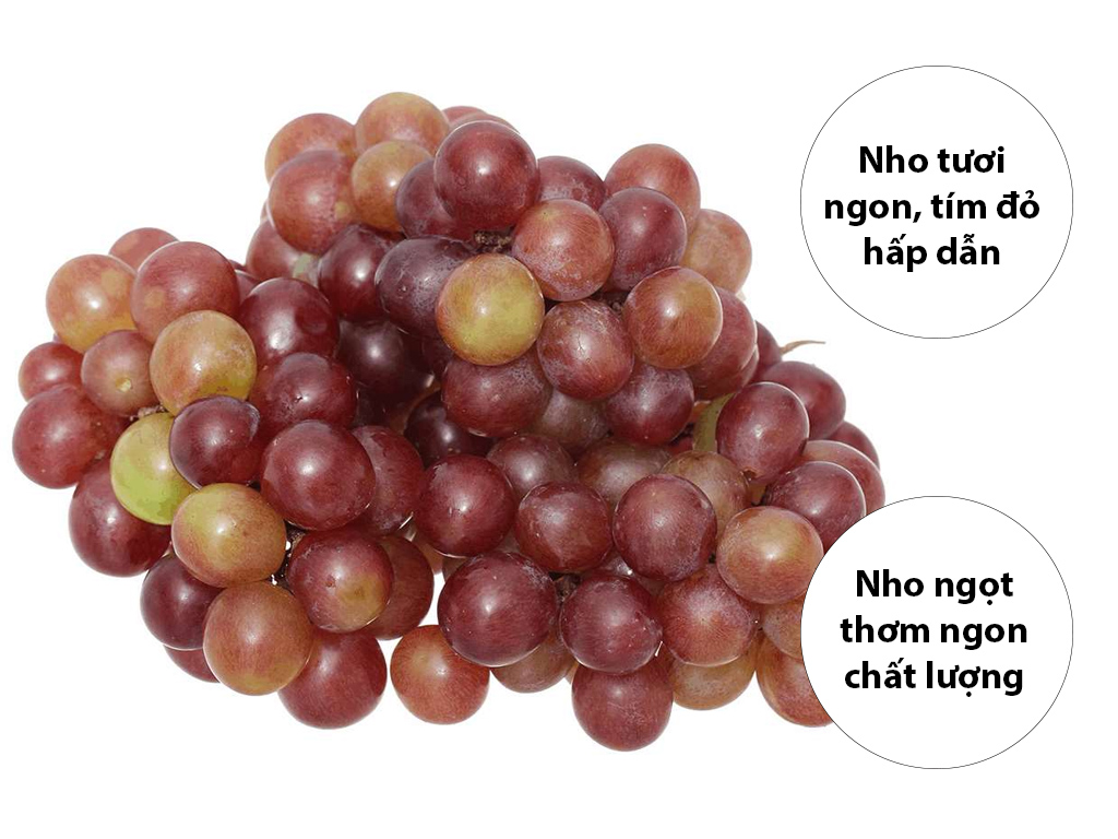 Nho đỏ Ninh Thuận hộp 500gr 1