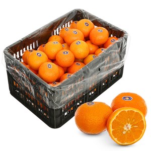 Quýt giống Úc thùng 11kg