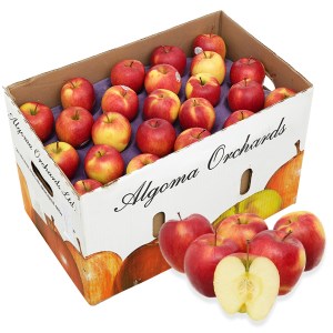 Táo Ambrosia Canada thùng 18kg