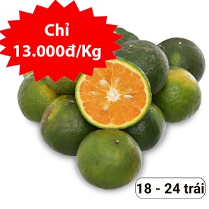 Cam sành vắt nước 3kg (18 - 24 trái)
