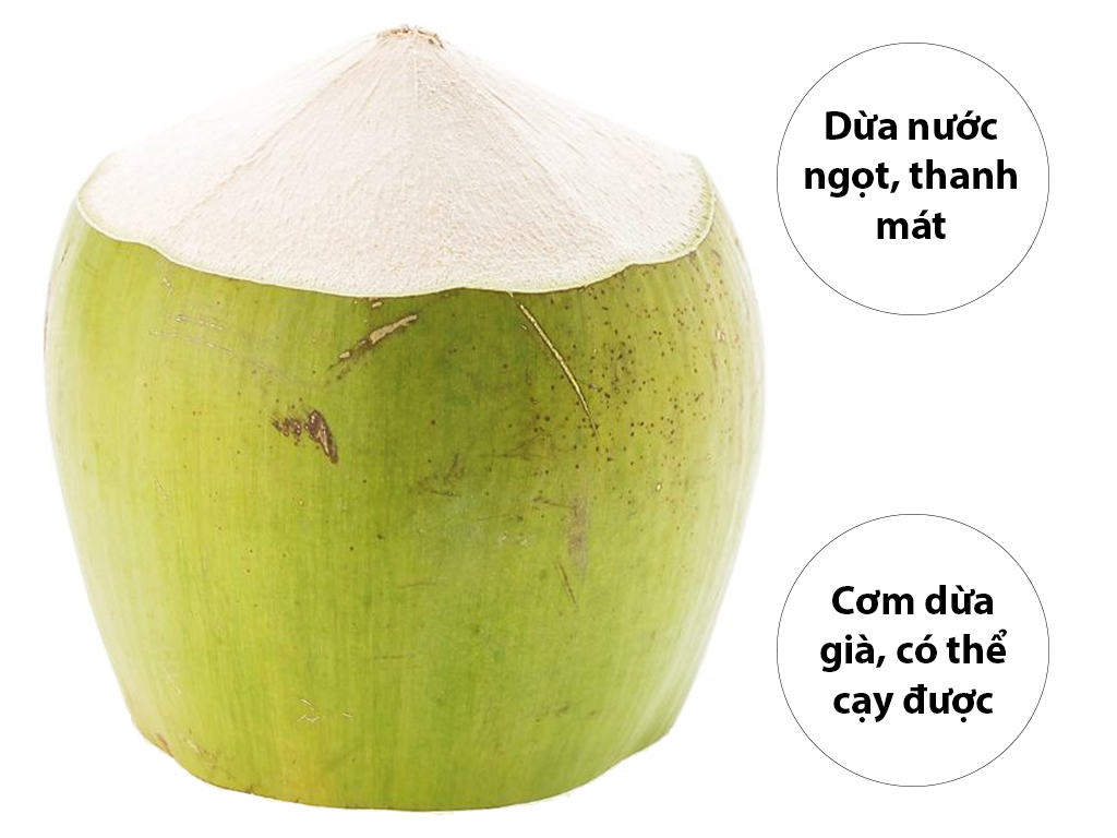Dừa xiêm nguyên trái tươi ngon nhiều nước tại Bách hóa XANH