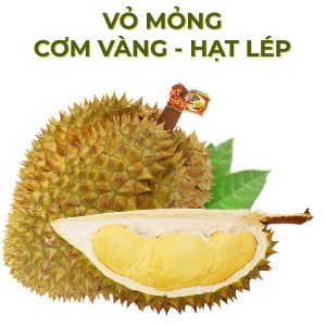 Sầu riêng Ri 6 trái 3kg - 3.5kg
