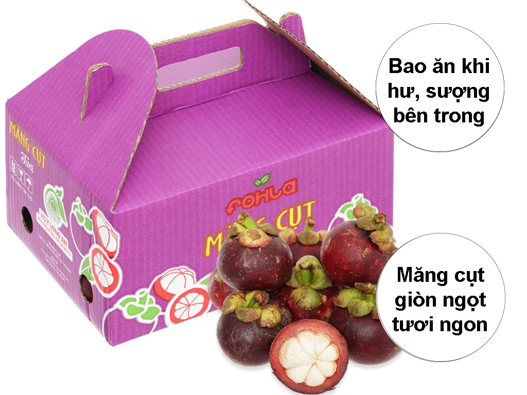 Thùng Măng Cụt 2Kg Tươi Ngon Tại Bách Hóa Xanh