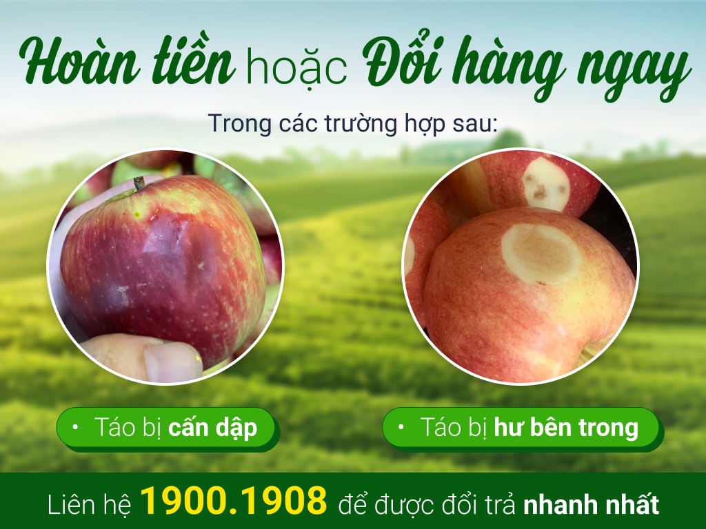 Táo Ambrosia New Zealand hộp 6 trái 1kg 15