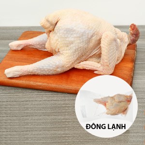 Gà dai nguyên con nhập khẩu đông lạnh 1.2kg