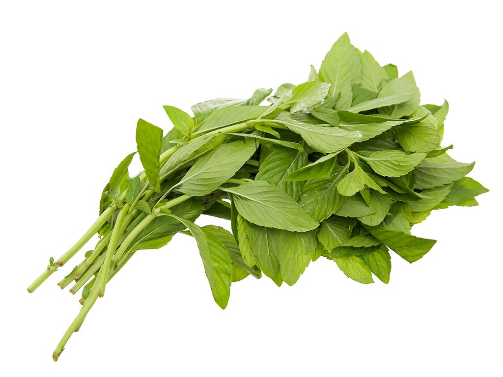 Rau húng cây tươi xanh túi 50g giá tốt tại Bách hoá XANH Rau Húng Cây Tươi Xanh Túi 50G Giá Tốt Tại Bách Hoá Xanh