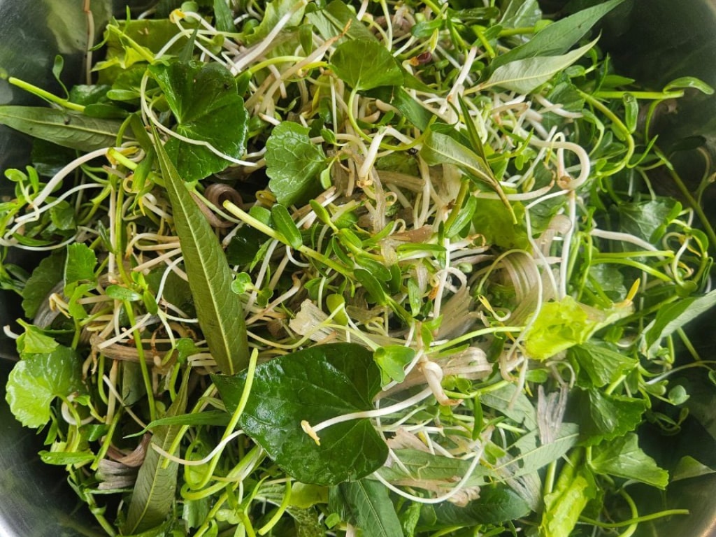 Rau sống thập vị tươi ngon, giá cả cực tốt tại Bách hoá XANH