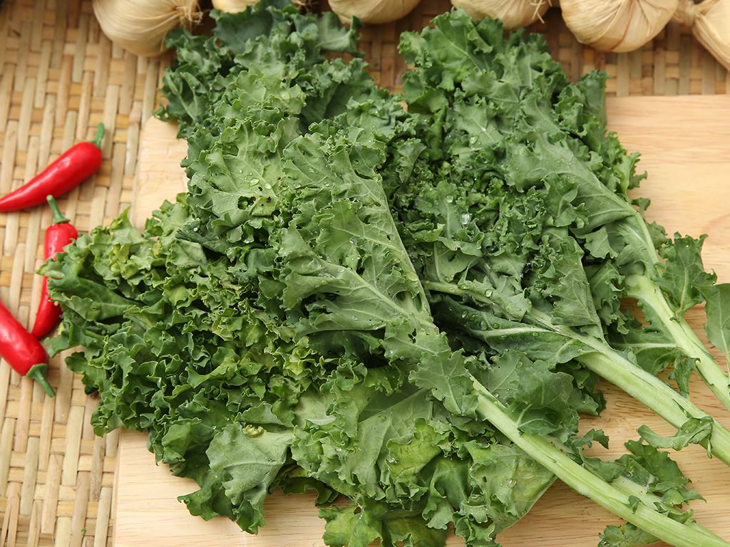 Cải xoăn túi 500g 0