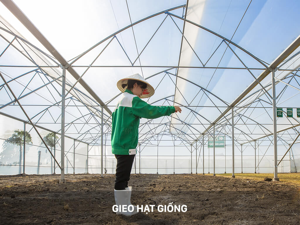 Cải bẹ xanh 4KFarm gói 500g 10
