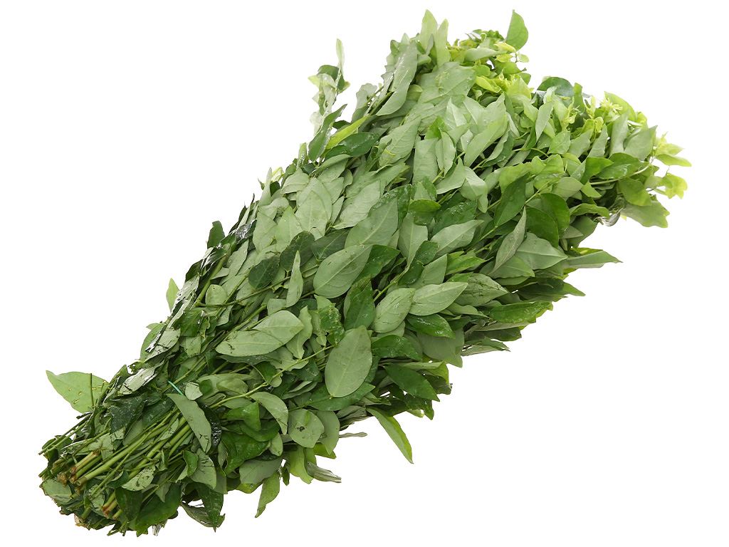 Rau ngót gói 500g 14
