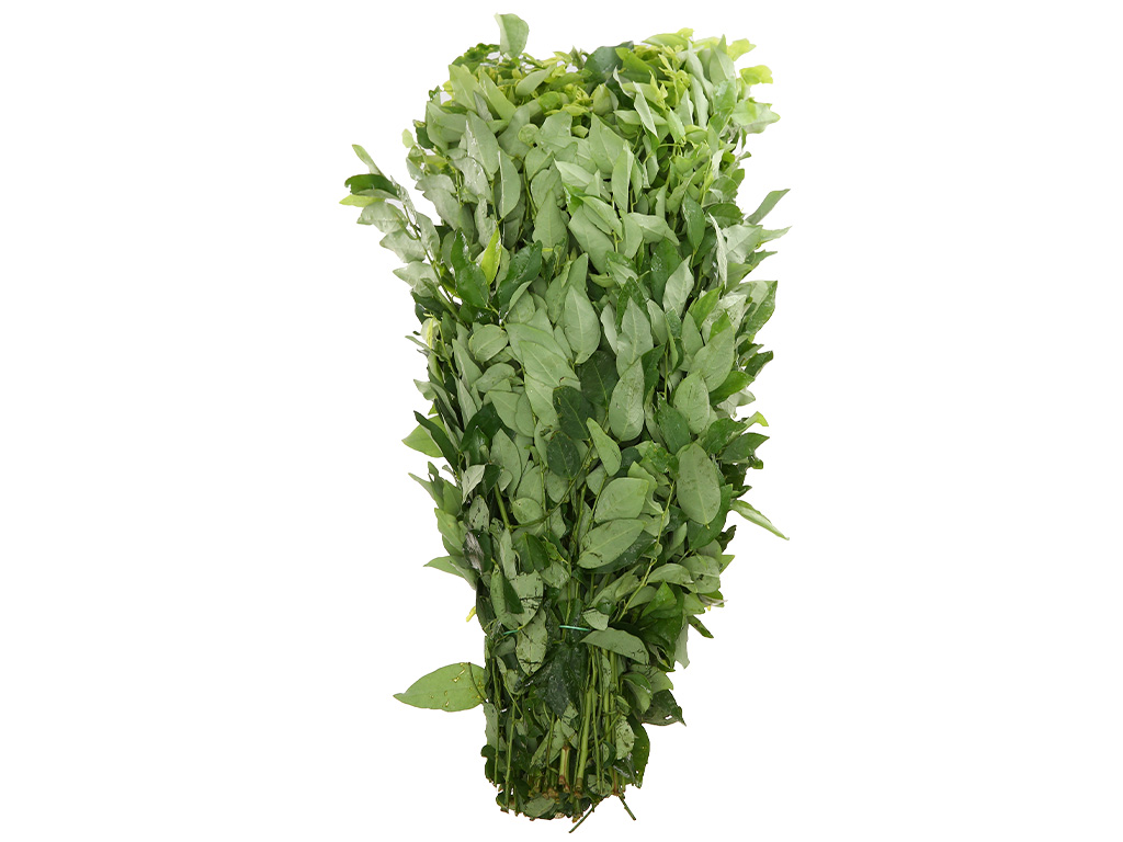 Rau ngót gói 500g 16