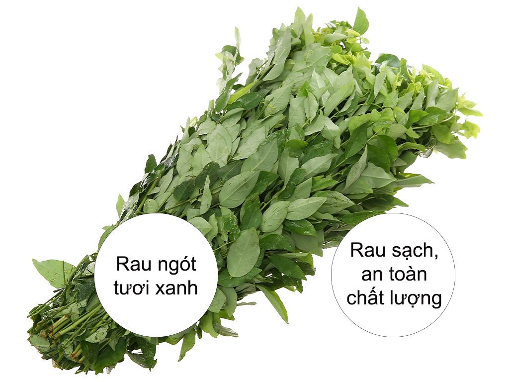 Rau ngót gói 500g 13