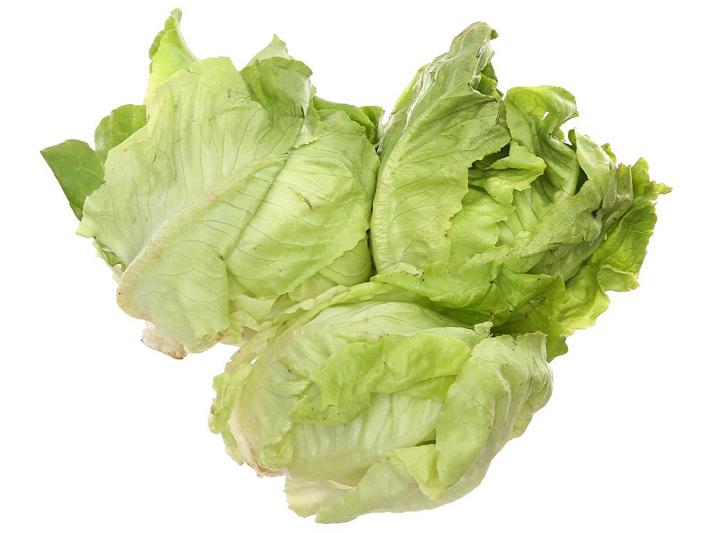 Xà lách búp mỡ gói 500g giá tốt tại Bách hóa XANH
