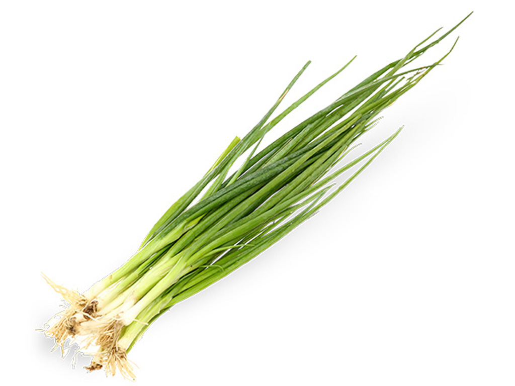 Hành lá bịch 100g 8