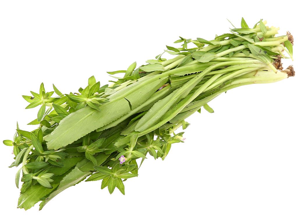 Ngò gai, rau om gói 100g 15