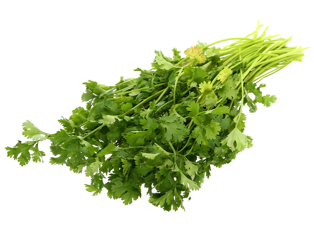 Ngò rí 100g 13