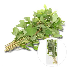 Rau diếp cá 100g