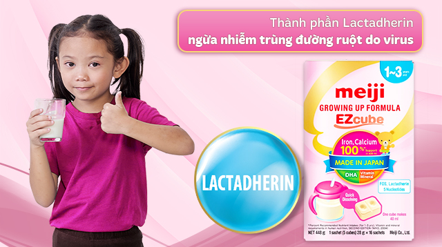 Thành phần lactadherin trong sữa Meji ngăn ngừa các bệnh nhiễm trùng đường ruột
