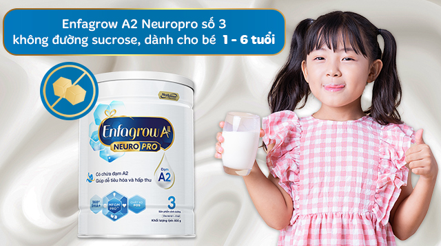 Độ tuổi - Sữa bột Enfagrow A2 Neuropro số 3 800g (1 - 6 tuổi)