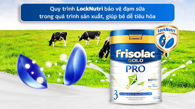 Sữa bột Friso Gold pro số 3 800g (1 - 3 tuổi) - LockNutri