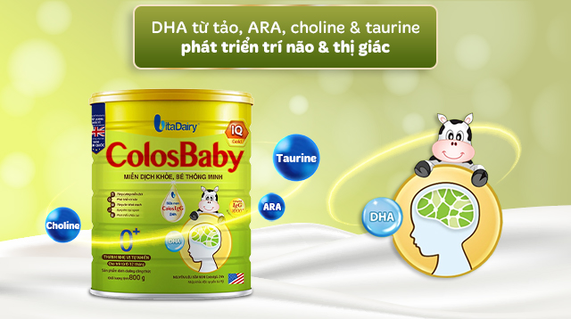 Hỗ trợ phát triển não bộ