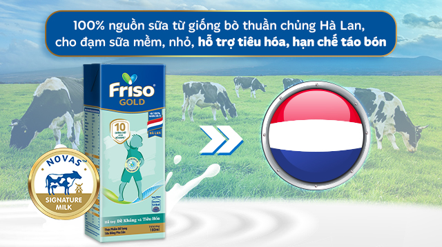 Nguồn sữa từ Hà Lan - Thùng 48 hộp sữa pha sẵn Friso Gold hương vani 180 ml (từ 1 tuổi)