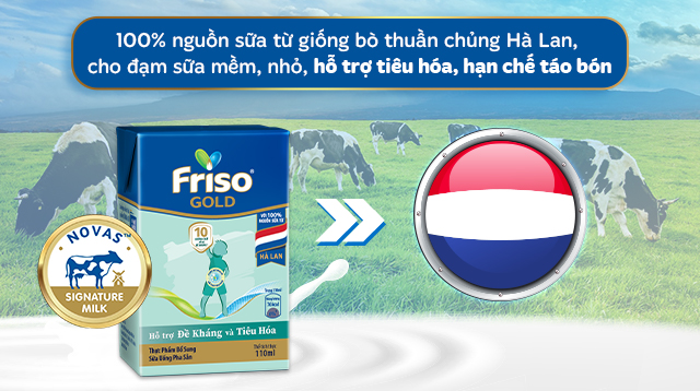 Nguồn sữa Hà Lan - Lốc 4 hộp sữa pha sẵn Friso Gold hương vani 110 ml (từ 1 tuổi)
