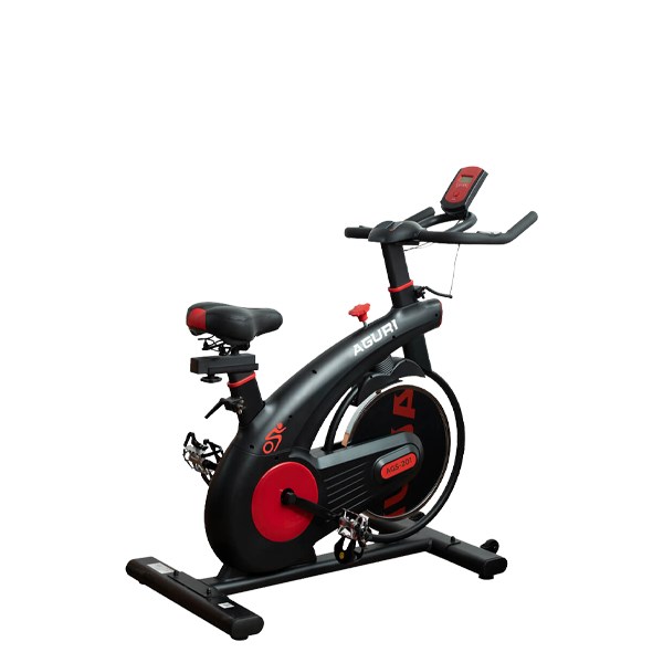 Xe Đạp Tập Thể Dục Aguri AGS-201