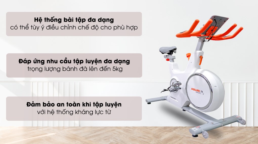 Xe Đạp Tập Thể Dục Aguri AGS-211