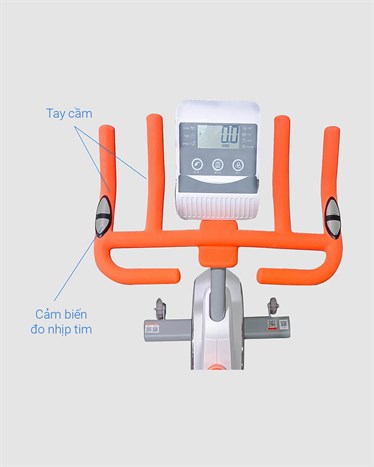 Xe Đạp Tập Thể Dục Aguri AGS-211