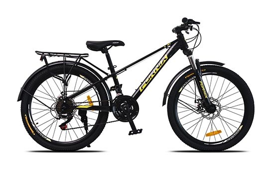 Xe đạp địa hình MTB Fornix X24 24 inch