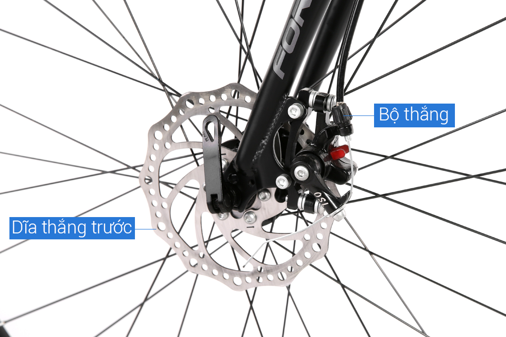 Xe Đạp Thể Thao Road Fornix F8 29 inch Màu Xanh Dương
