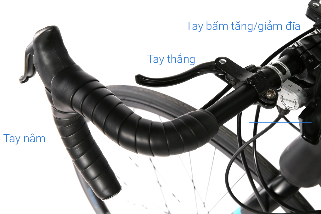 Xe Đạp Thể Thao Road Fornix F8 29 inch Màu Xanh Dương