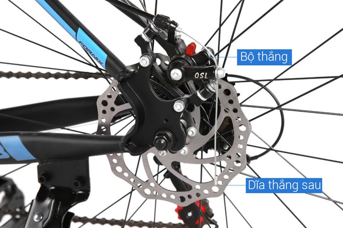 Xe đạp thể thao Road Fornix F8 29 inch