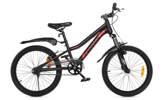 Fornix Rover 20 inch