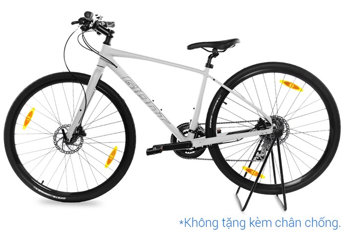 Xe đạp đường phố Touring Giant ESCAPE 2 DISC 29 inch Size S